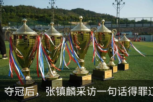 夺冠后，张镇麟采访一句话得罪辽宁，辽蜜：有本事到四川证明价值